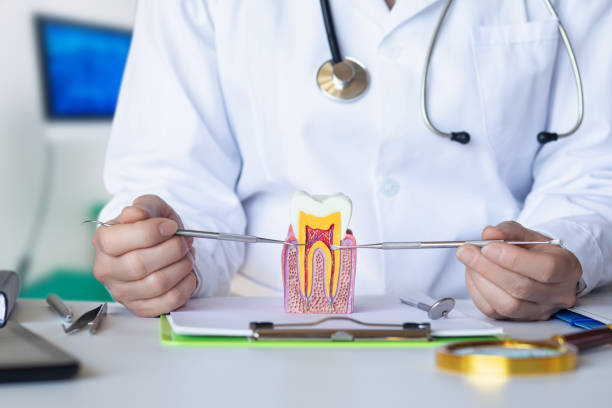 Best Broken or Chipped Tooth Repair in Mccall, ID